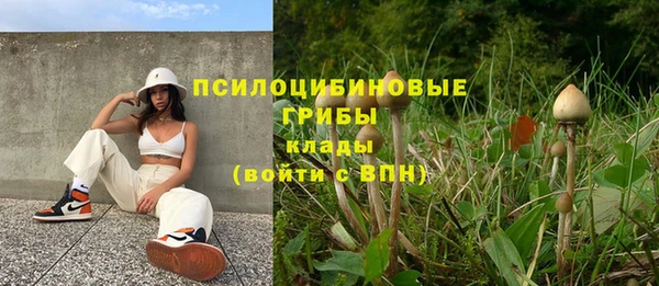 каннабис Новокубанск