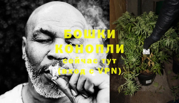 каннабис Новокубанск