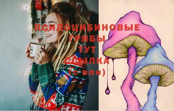 винт Новозыбков