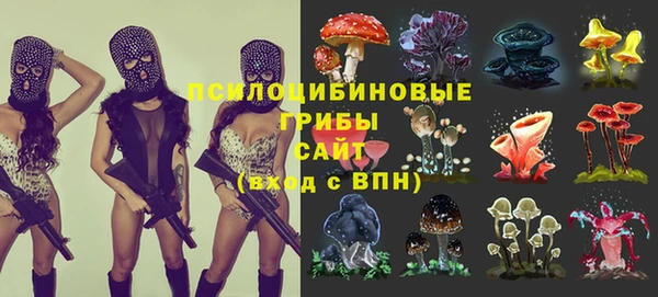 трава Наволоки