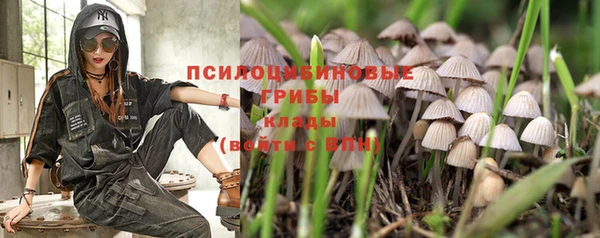 винт Новозыбков
