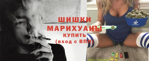 Альфа ПВП Новодвинск