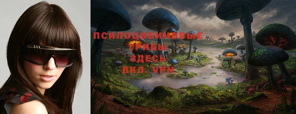 гашик Нефтекумск