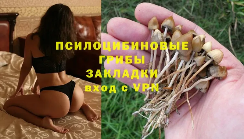 Псилоцибиновые грибы Magic Shrooms  наркота  Лангепас 