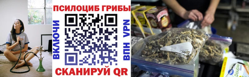 MEGA tor  Лангепас  Псилоцибиновые грибы Cubensis 