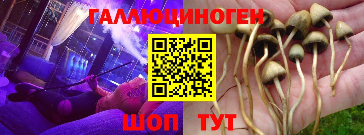 Псилоцибиновые грибы прущие грибы Лангепас