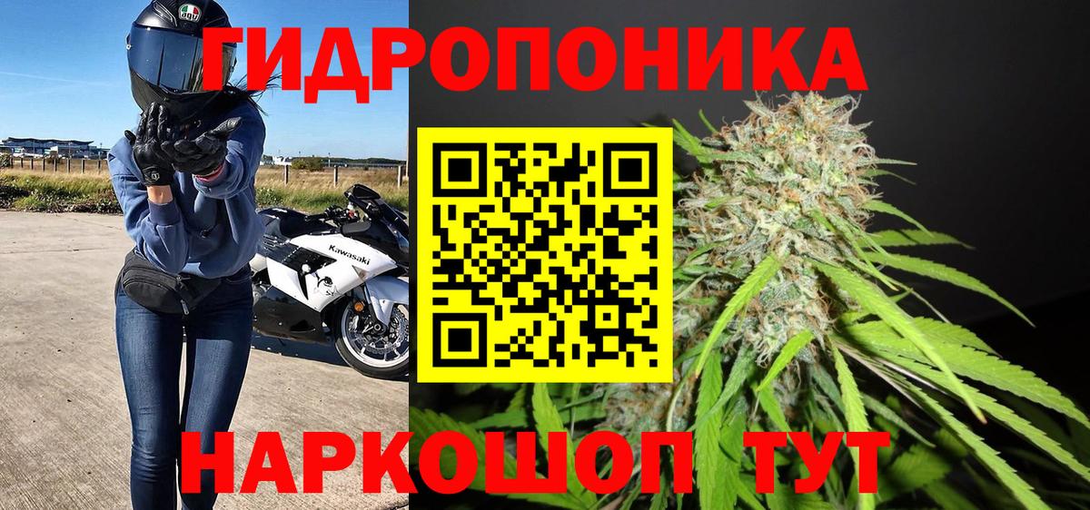 Бошки марихуана планчик Лангепас